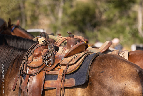 Western Tack Details