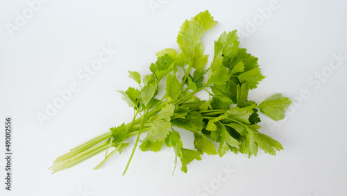 fresh celery leaves isolated on white background photo