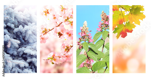 Four seasons of year. Set of vertical nature banners with winter, spring, summer and autumn scenes