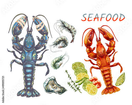 316_oyster_lobster_Shrimp_lobster, shrimp fresh and cooked, slices of lemon, lime, thyme sprig, bandaged claws, seafood