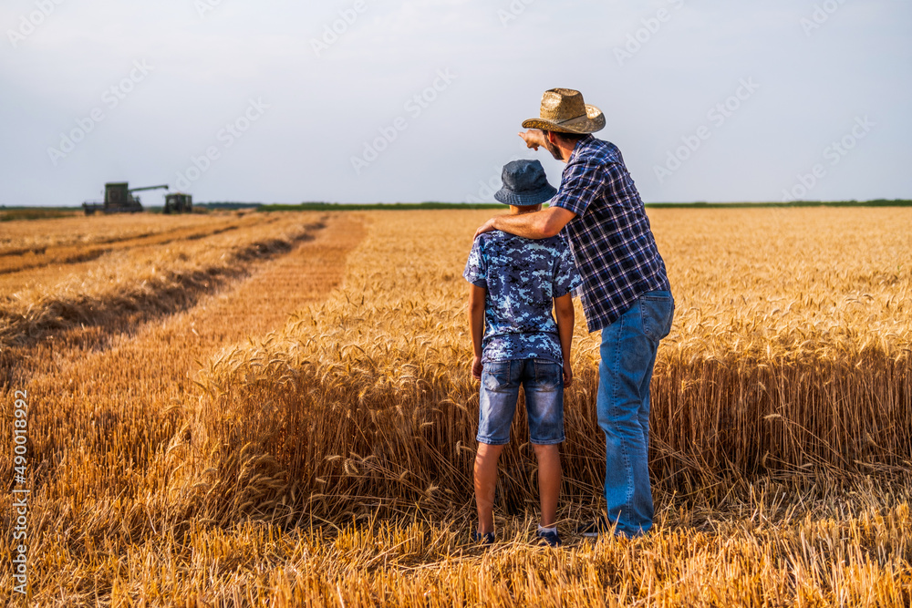 Farmers are standing in their wheat field while the harvesting is taking place. Father is teaching his son about agriculture. Farmers are standing in their wheat field while the harvesting is taking place. Father is teaching his son about agriculture.