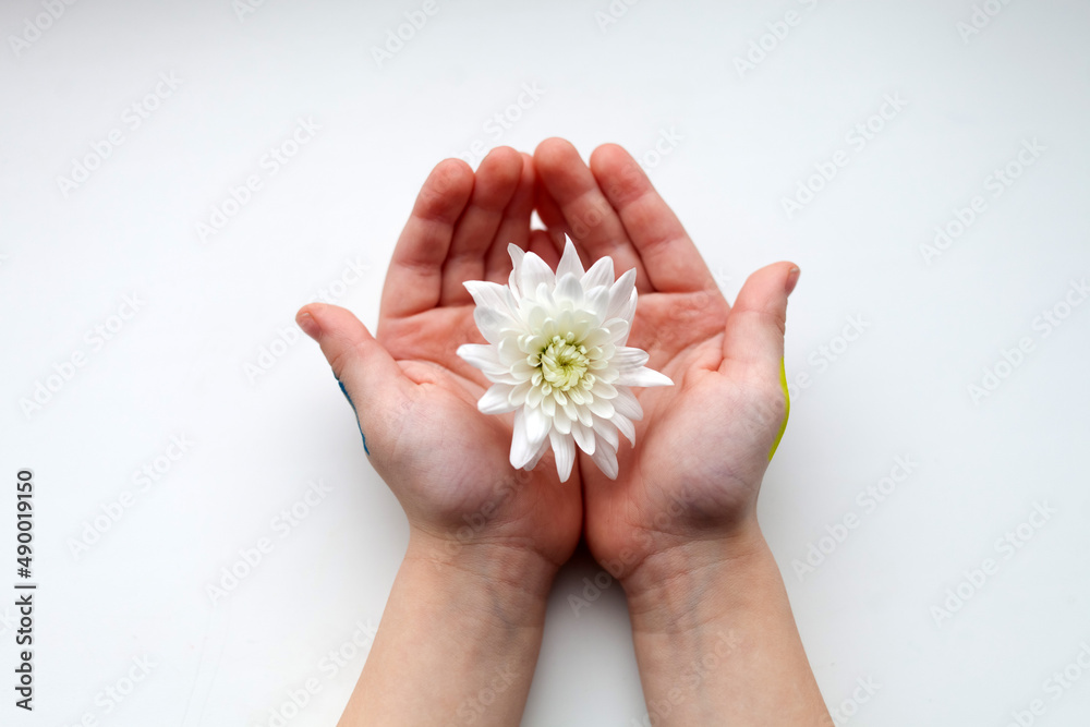 hands with flower, child positive wellness, world mental health day,mindfulness hands with flower, child positive wellness, world mental health day,mindfulness