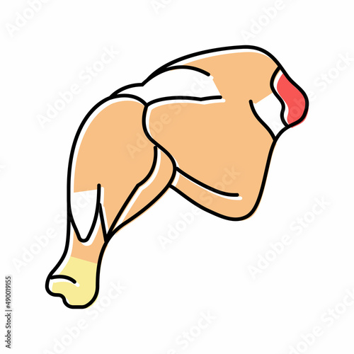 leg quarter chicken color icon vector illustration