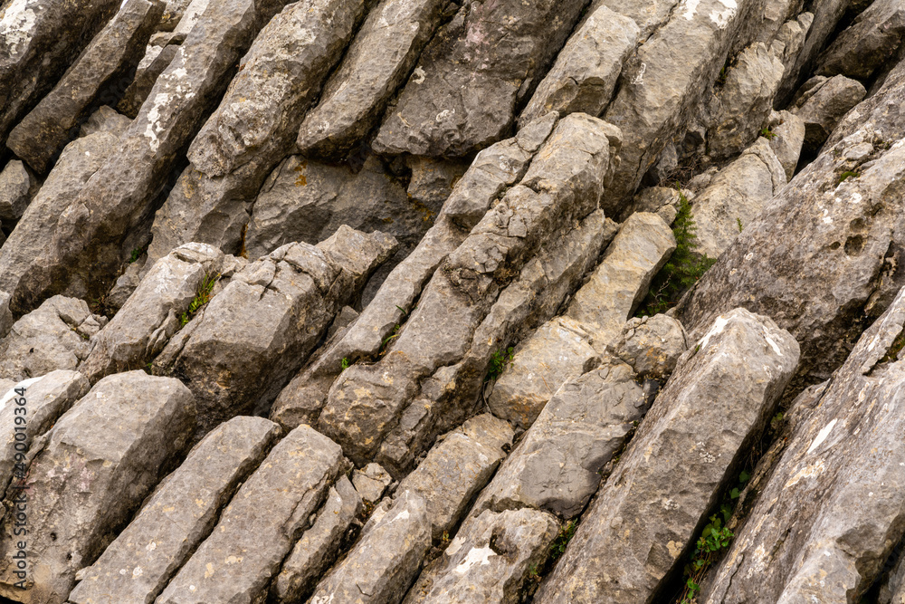 close up view of layered limestone and karst rock formation in the Sierra de las Nieves close up view of layered limestone and karst rock formation in the Sierra de las Nieves