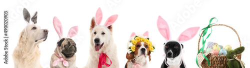 Group of dogs with bunny ea...