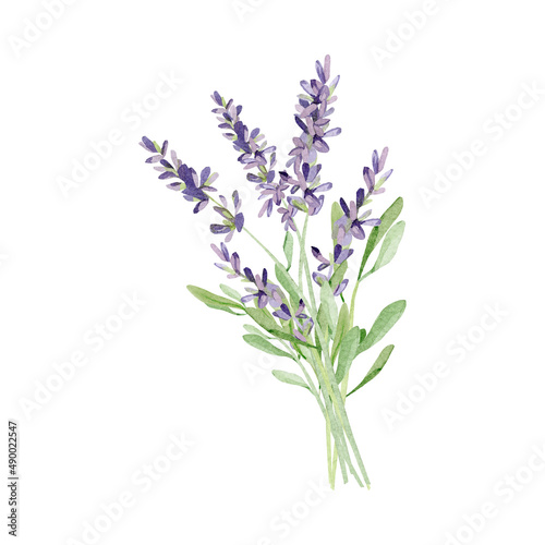 Fototapeta Naklejka Na Ścianę i Meble -  Watercolor lavender bouquet for wedding card. Hand painted vintage violet flowers with leaves and branch isolated on white background. Spring wildflowers wreath illustration for invite card,  logo