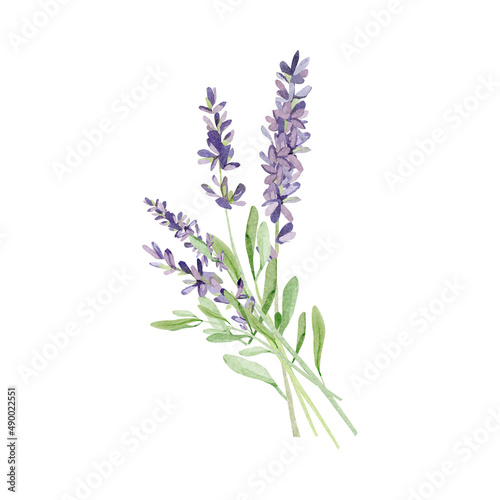 Watercolor lavender bouquet for wedding card. Hand painted vintage violet flowers with leaves and branch isolated on white background. Spring wildflowers wreath illustration for invite card   logo