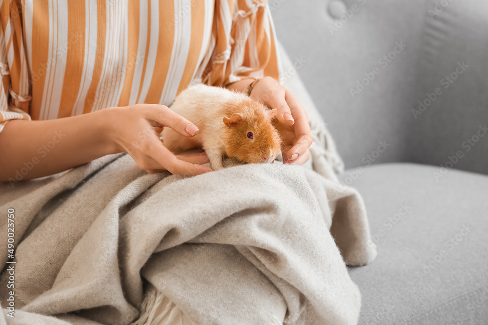 Beautiful young woman with cute guinea pig at home, closeup Beautiful young woman with cute guinea pig at home, closeup