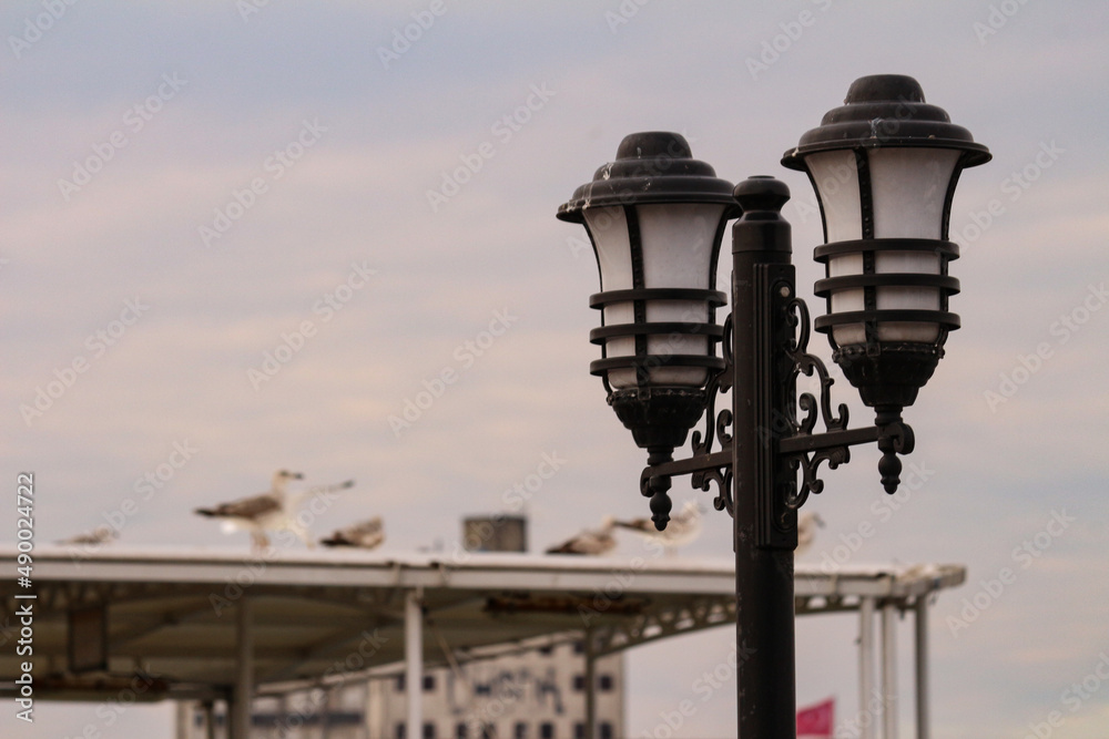 Focused street lamp, sky, blurred background and birds.