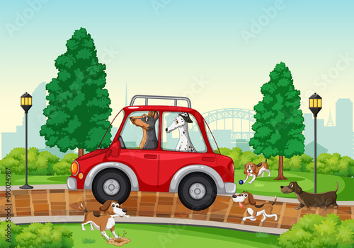 Many dogs playing in the park