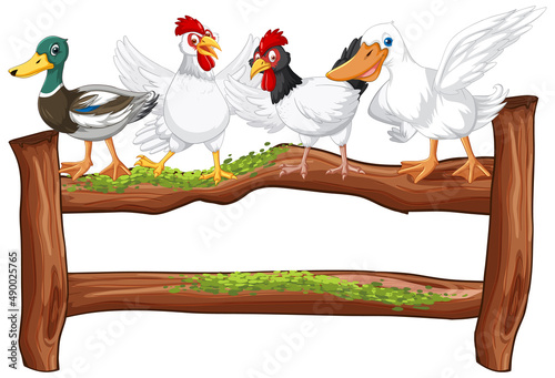 Fence with poultry on white background