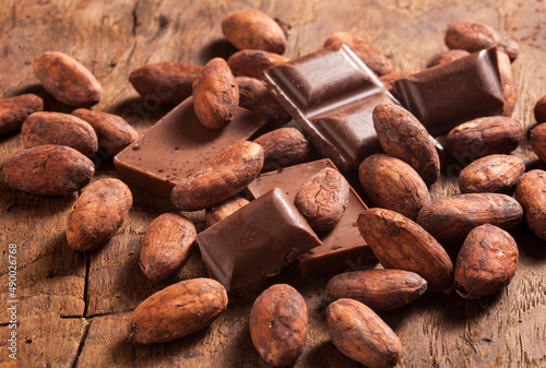 chocolate and cacao beans