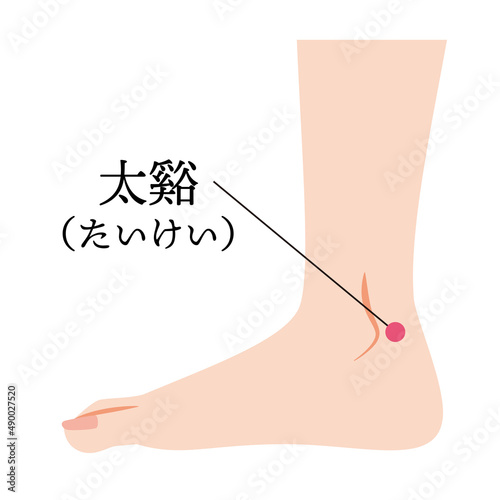 足のツボ　太谿