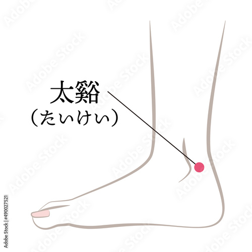 足のツボ　太谿