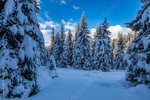 Trentino, escursione sulla neve © scabrn