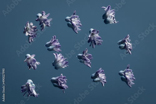 Abstract pattern of purple hyacinth  flowers on mirror like flying birds in the  blue sky photo