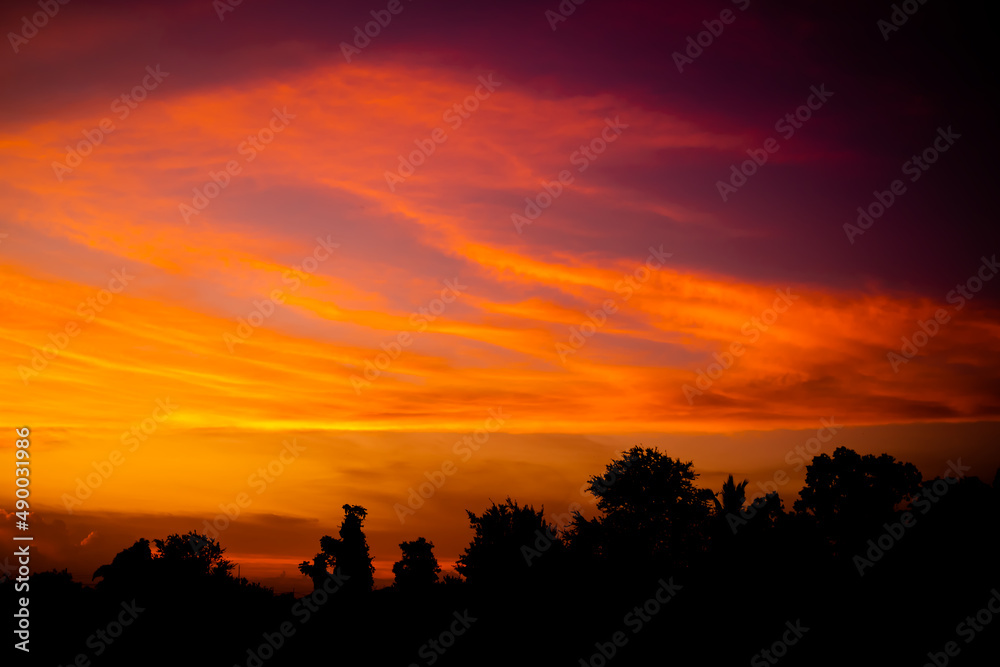 Evening Sky, twilight dramatic gold sunset dusk with silhouette dark black tree in night background. colorful sunlight cloud sky pastel bright yellow orange backdrop. nature landscape beautiful.