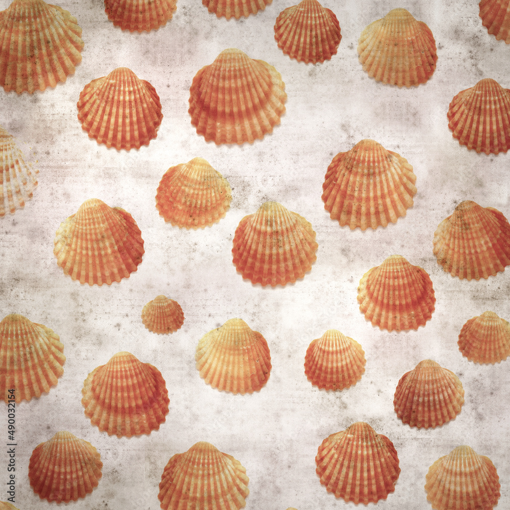 stylish textured old paper background with cockle shells stylish textured old paper background with cockle shells