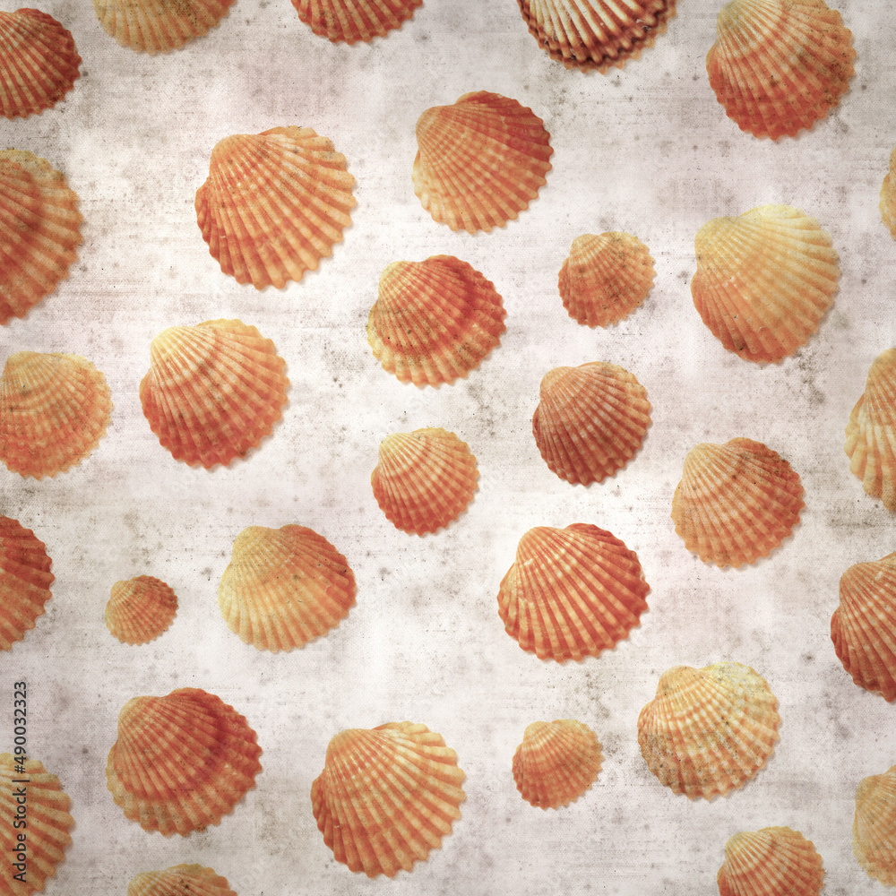 stylish textured old paper background with cockle shells
