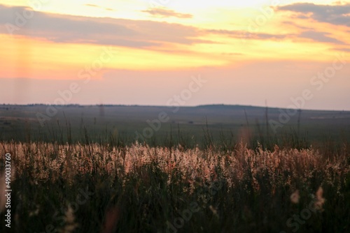 Shallow depth of field landscape in South Africa during a summer-night sunset