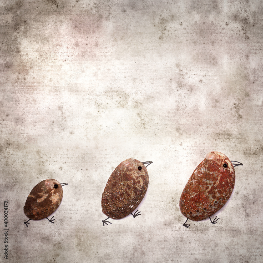 Obraz premium stylish textured old paper background with funny little birds made of a green ormer shell