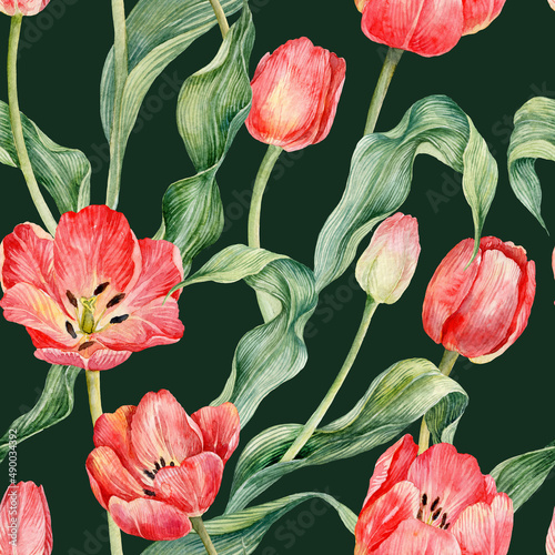 Seamless Pattern with watercolor red tulips. Pattern floral seamless. Red spring flowers.