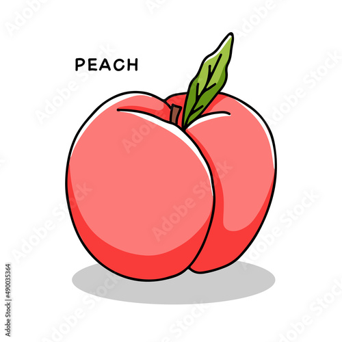 Hand drawn peach icon with leaf. Vector illustration in doodle style