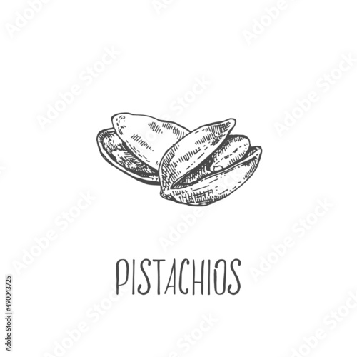 Hand drawn vector pistachios nut cores, shell