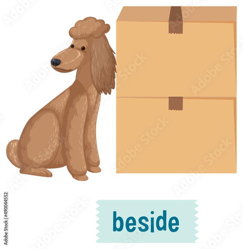 Preposition of place with cartoon dog and a box