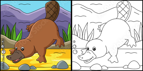 Platypus Coloring Page Colored Illustration