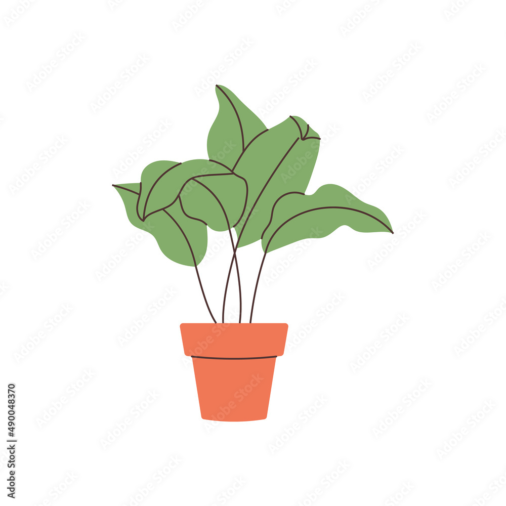 Hand drawn home plant element for your design