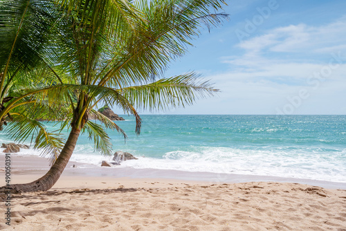 Fototapeta Naklejka Na Ścianę i Meble -  Phuket beach Summer beach with coconut palms trees around in Phuket island Thailand, Beautiful tropical beach with blue sky background in summer season Copy space