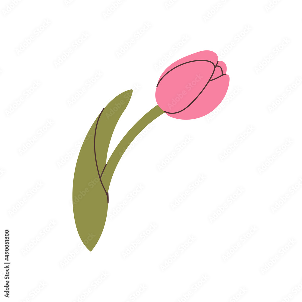 hand drawn tulip element for your design hand drawn tulip element for your design