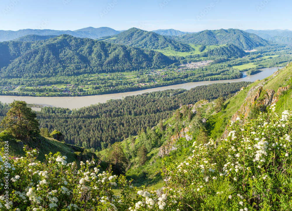 The Katun River flows in the Altai mountains, the summer sunny landscape