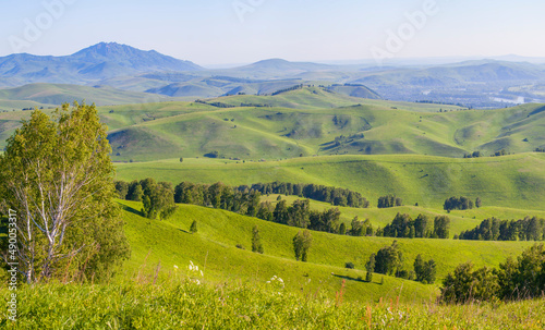 Green hills, meadows and trees. Sunny summer day, countryside. 