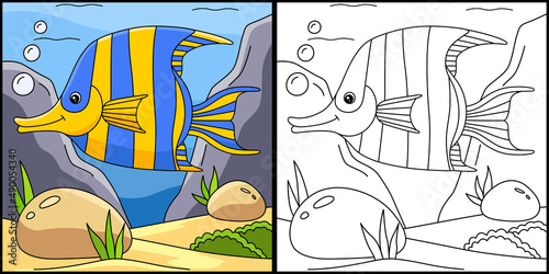 Angelfish Coloring Page Colored Illustration