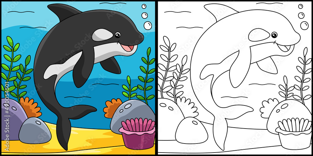 Killer Whale Coloring Page Colored Illustration Stock Vector