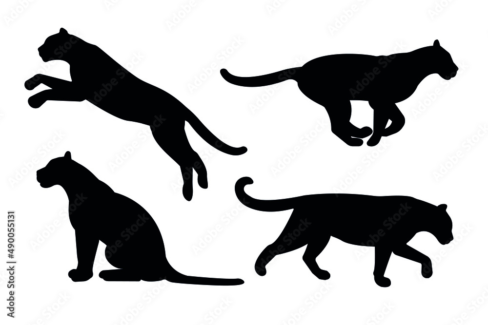 Vector set of flat leopard silhouette isolated on white background
