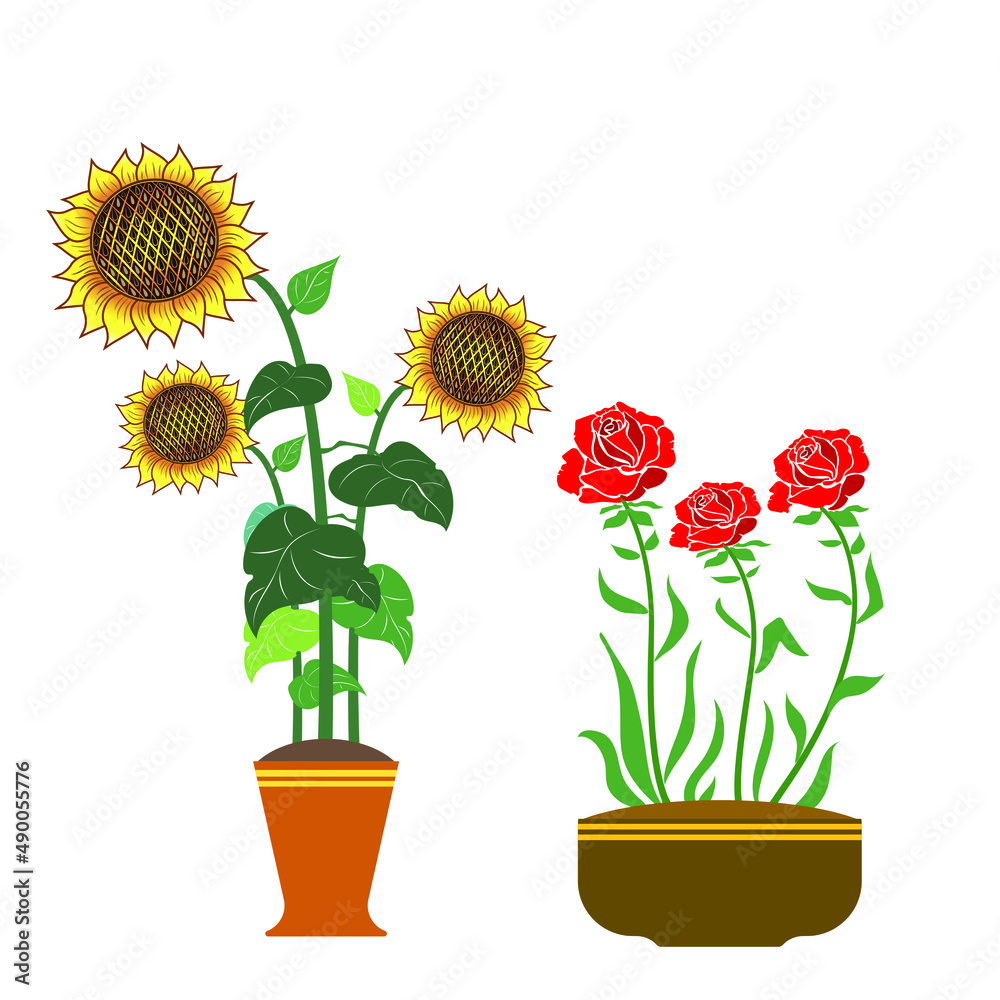 Obraz premium A collection of wild and garden flowers in vases isolated on a white background. A bunch of bouquets. A set of decorative elements of floral design. Flat vector illustration.