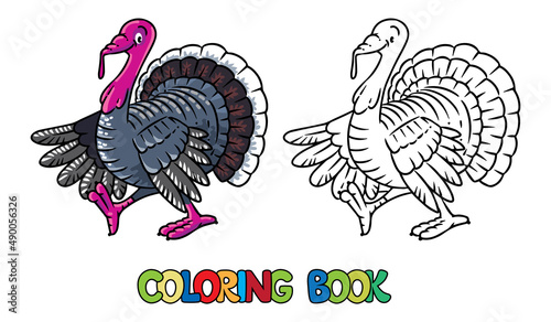 Funny turkey. Farm animals coloring book series