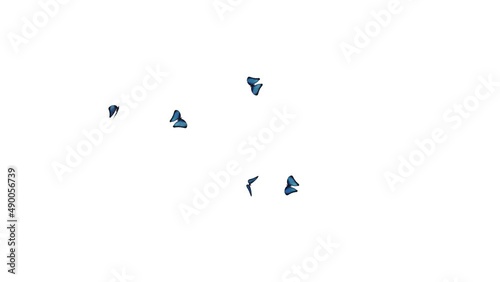 A collection of blue butterflies fluttering and flying on a white background