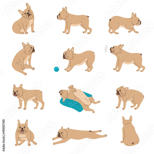 Dogs Emotions Set