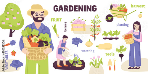 Colored Garden Infographic