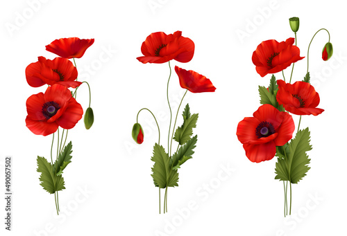 Red Poppies Flowers Bouquet Realistic Set