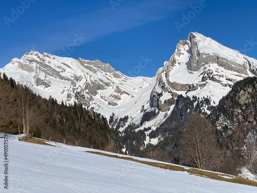 Snow-capped alpine peaks Säntis (Saentis or Santis, 2502 m) and Wildhuser Schofberg (or Wildhuser Schafberg, 2373 m) in Alpstein mountain range, Alt St. Johann - Switzerland (Schweiz) photo