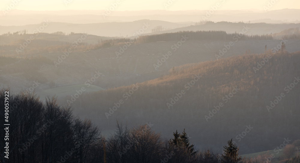 the rothaargebirge germany in the winter evening sun