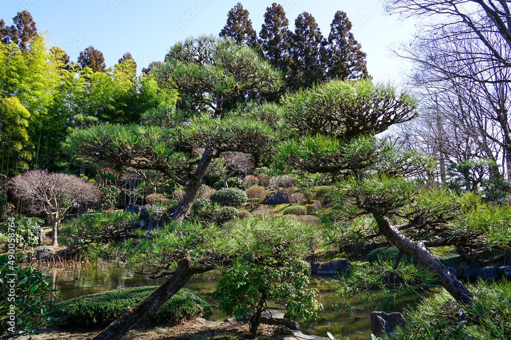 Fototapeta premium 日本庭園の彩翔亭 航空記念公園(埼玉県所沢市)