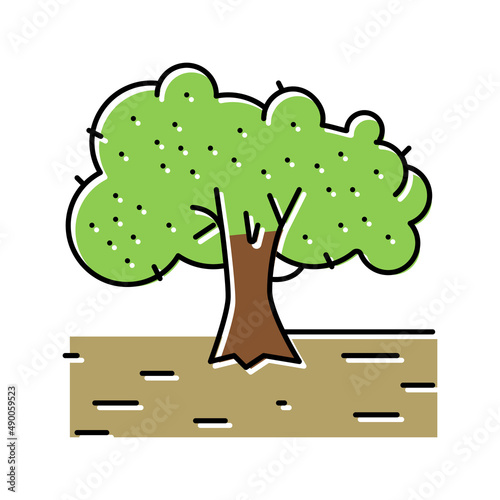 cultivation olive tree color icon vector illustration