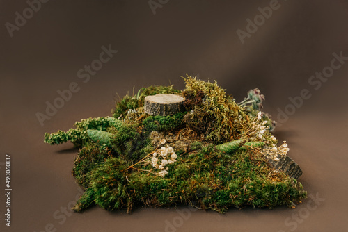 Natural podium from moss for cosmetic products.