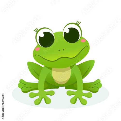 Beautiful frog on isolated background.Vector illustration.